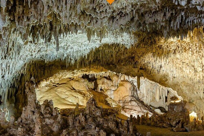 Cave, Zipline, and Cenote Tour in the Riviera Maya 3