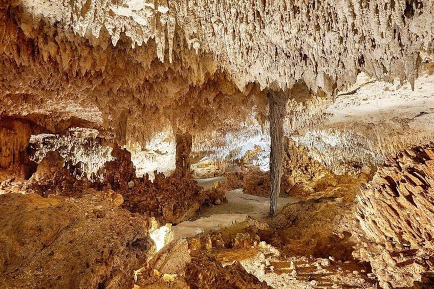 Cave, Zipline, and Cenote Tour in the Riviera Maya 5
