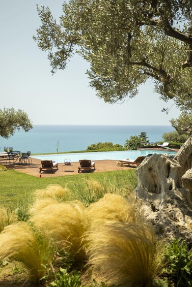A poolside with lounge chairs, a view of the sea, and a tree with a large trunk. 4