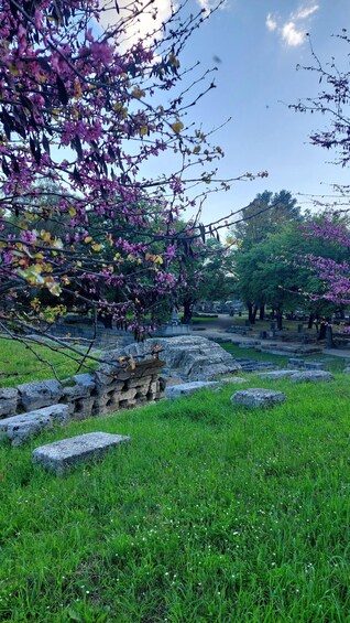 A cemetery with stone headstones, blooming trees, and a clear sky. 4