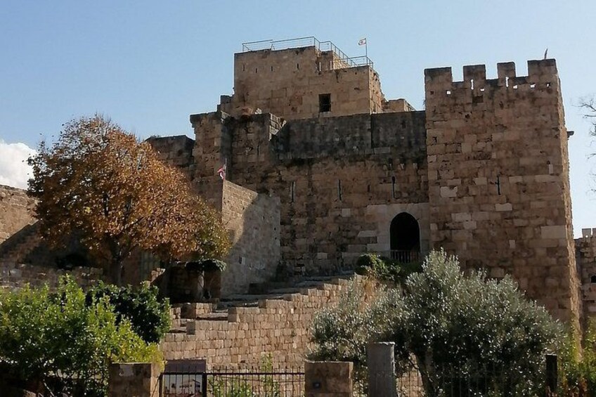 A historic stone castle with battlements, a flag, and a tree in the foreground. 5