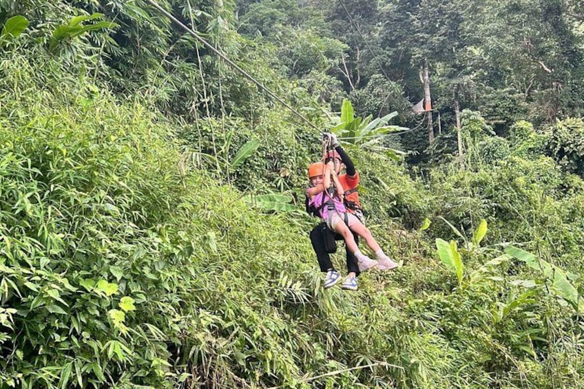 A person zip-lining through a dense, green forest. 2