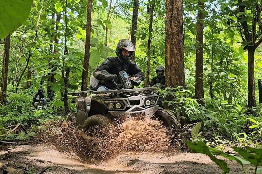 A person riding an ATV through a forested area with trees and dirt paths. 3