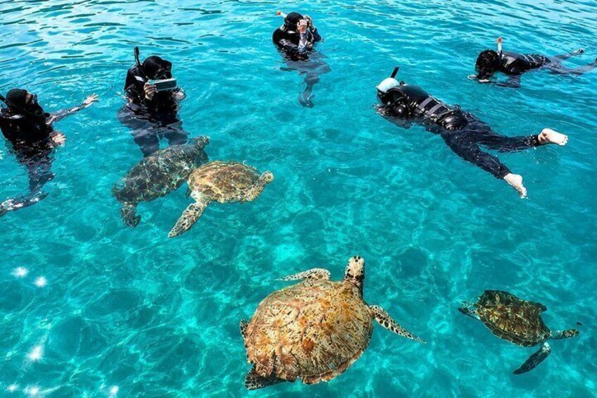Redang Island Snorkeling Day Trip Experience 1