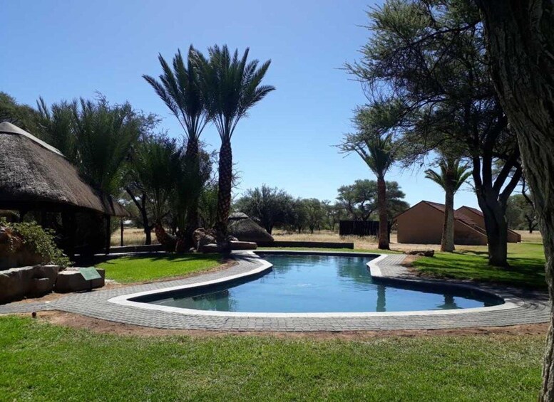 A swimming pool surrounded by trees and a thatched-roof building. 5