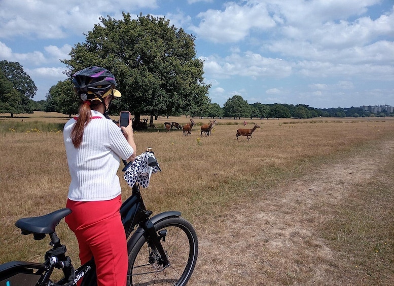 Picture 24 for Activity London: Battersea to Richmond Park Scenic E-Bike Adventure 3