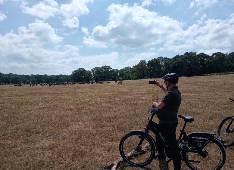 Picture 23 for Activity London: Battersea to Richmond Park Scenic E-Bike Adventure 2