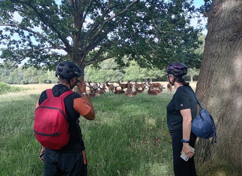 Picture 2 for Activity London: Battersea Power Station to Richmond Park E-Bike Tour 4