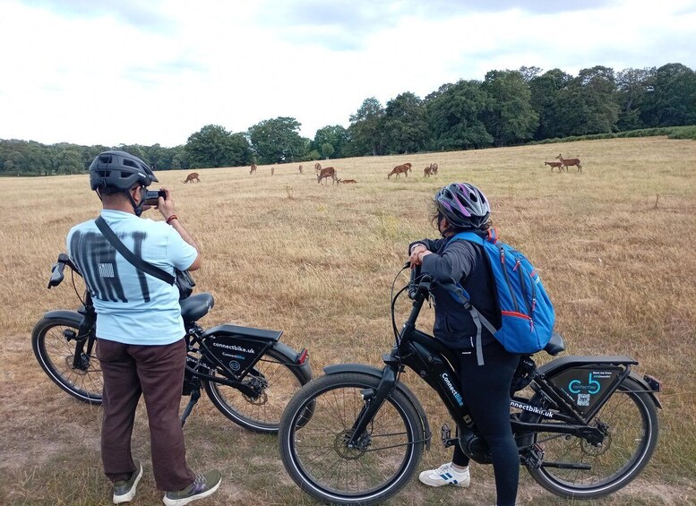 Picture 24 for Activity London: Battersea to Richmond Park Scenic E-Bike Adventure 2