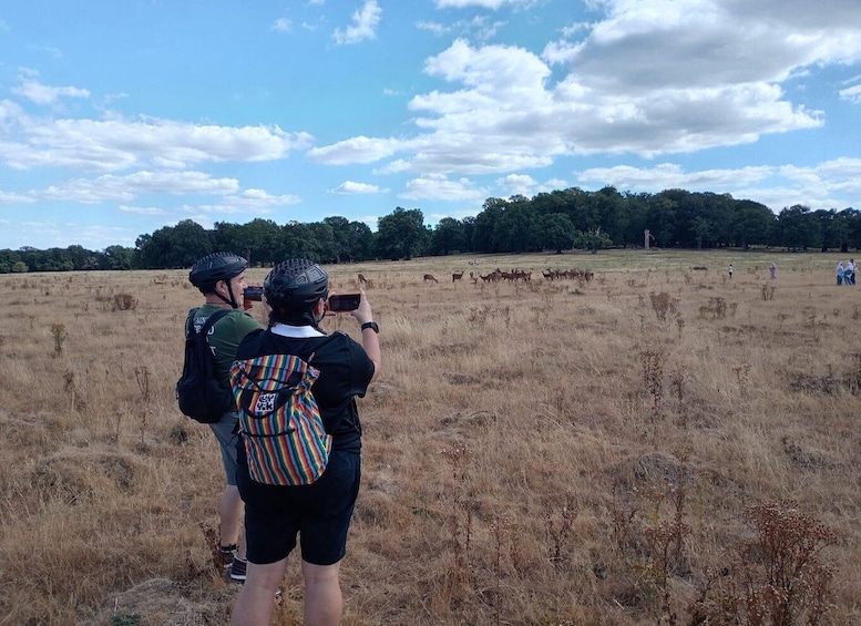 Picture 29 for Activity London: Battersea to Richmond Park Scenic E-Bike Adventure 3
