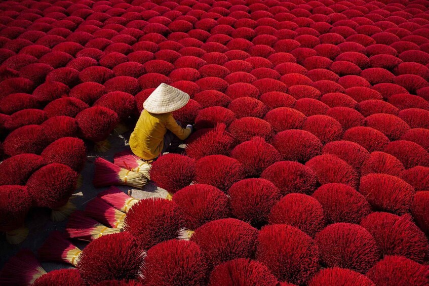 A person in a yellow shirt and straw hat among red spherical plants. 1