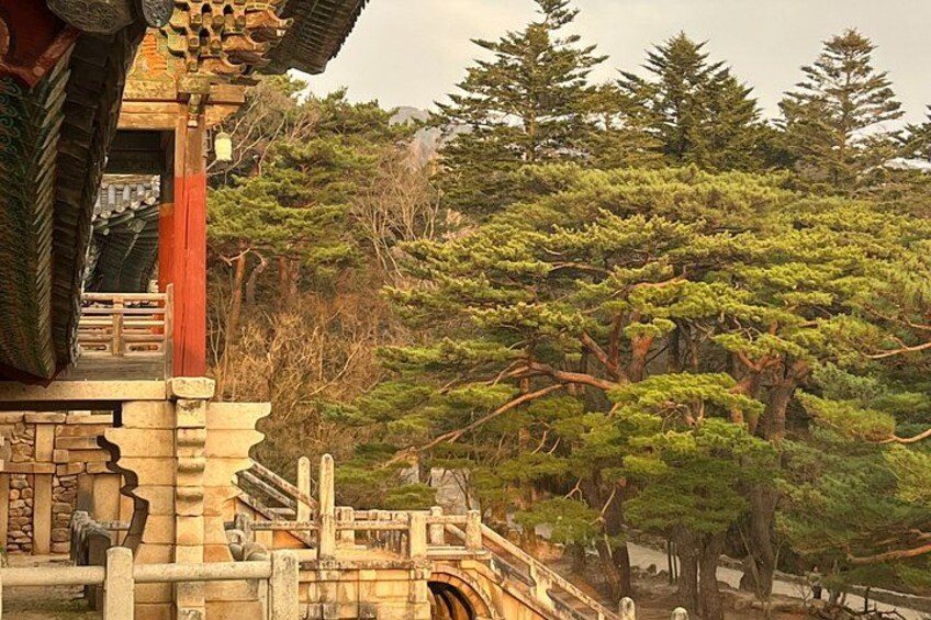 Private Gyeongju UNESCO Tour with local - Starts in Gyeongju 5