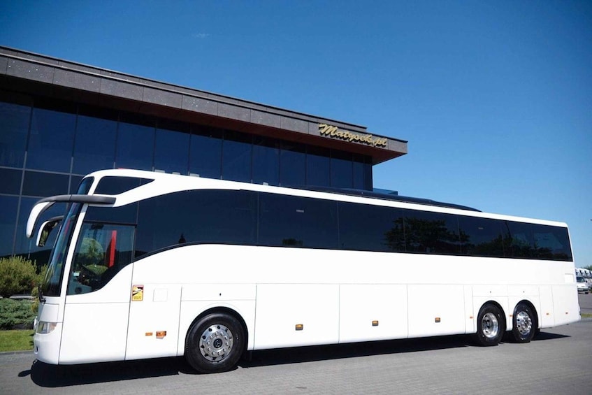 Picture 7 for Activity Katakolo Port: Ancient Olympia Bus Tour & Free Time 3