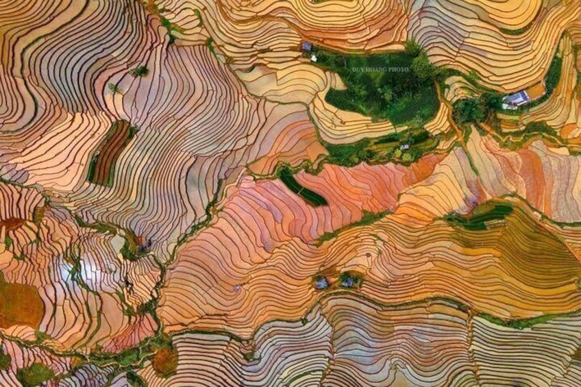 Eine topographische Karte mit Höhenlinien, einem grünen Bereich mit der Bezeichnung 'DEKANGAS PROTO' und einem kleinen weißen Gebäude. 3
