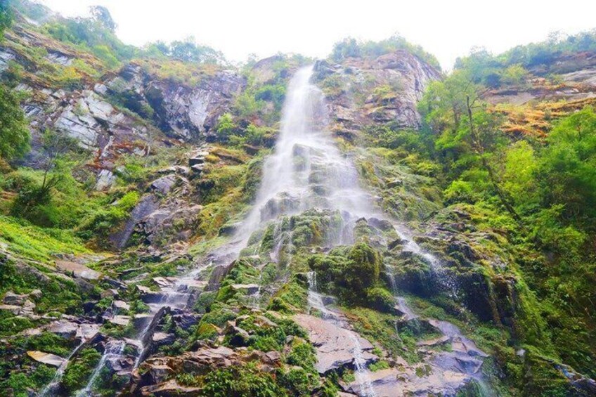 Ein Wasserfall stürzt über eine felsige Klippe, umgeben von üppiger Vegetation. 1