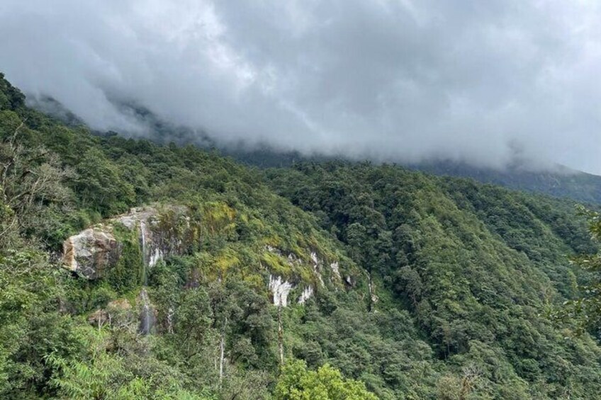 Eine gebirgige Landschaft mit dichtem Grün und steinernen Felsformationen. 4