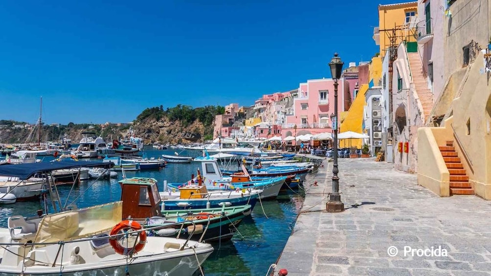 A coastal town with colorful buildings, a marina with boats, and a clear blue sky. 3