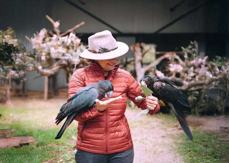 Perth: Kaarakin Black Cockatoo Conservation Tour & Hike 2