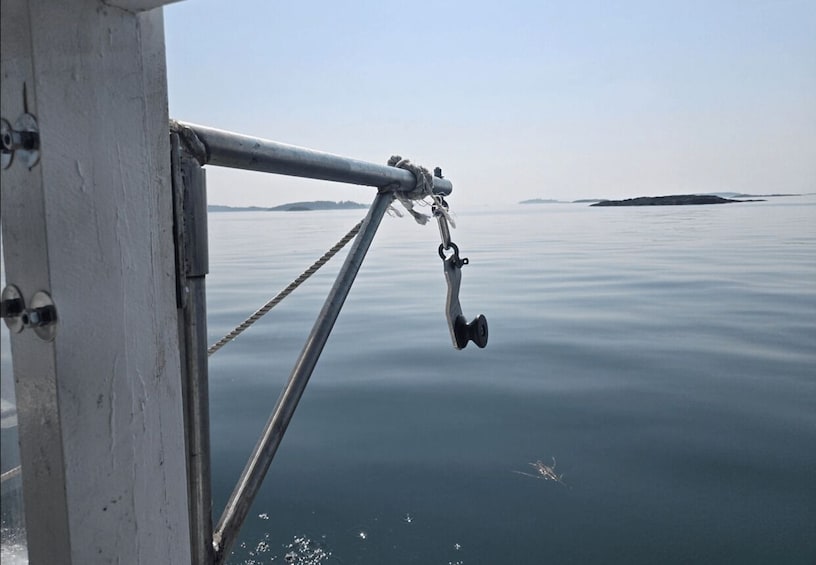 A calm body of water with a distant landmass and a boat's railing. 4