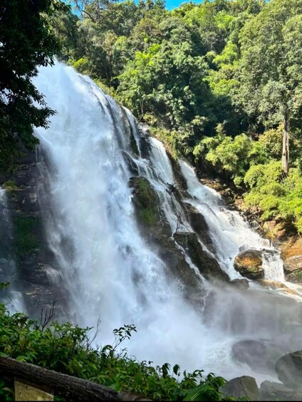 A waterfall cascading over rocks surrounded by dense forest. 3