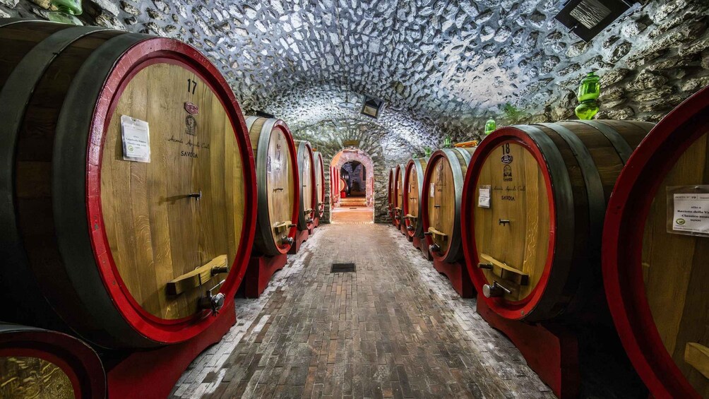 A tunnel lined with wooden wine barrels, numbered sequentially, leading to a central archway. 3