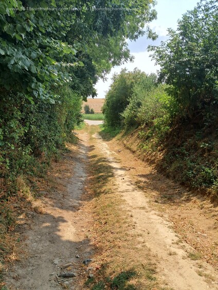Picture 3 for Activity Tour of the Somme Battlefields 3