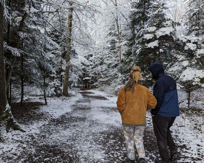 A snowy forest path with two people walking. 2