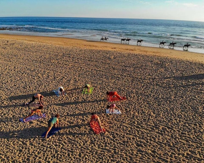 A beach with people sunbathing and a group of horses near the water. 5