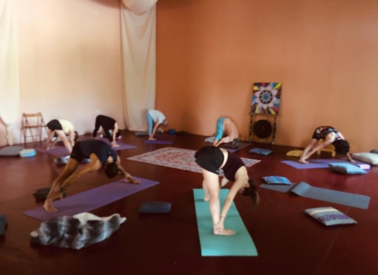 A yoga class in a room with orange walls, participants on mats, and a dog on the floor. 1