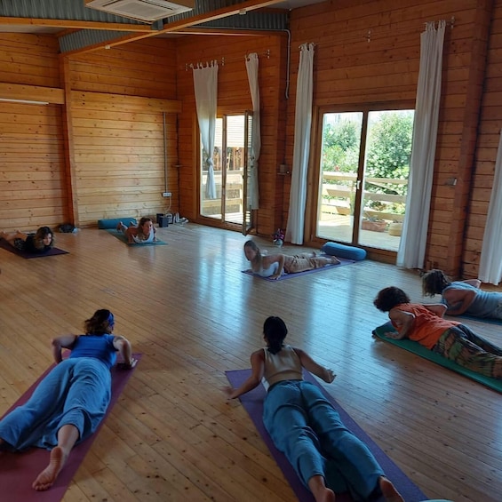 A group of people on yoga mats in a wooden room with large windows. 3