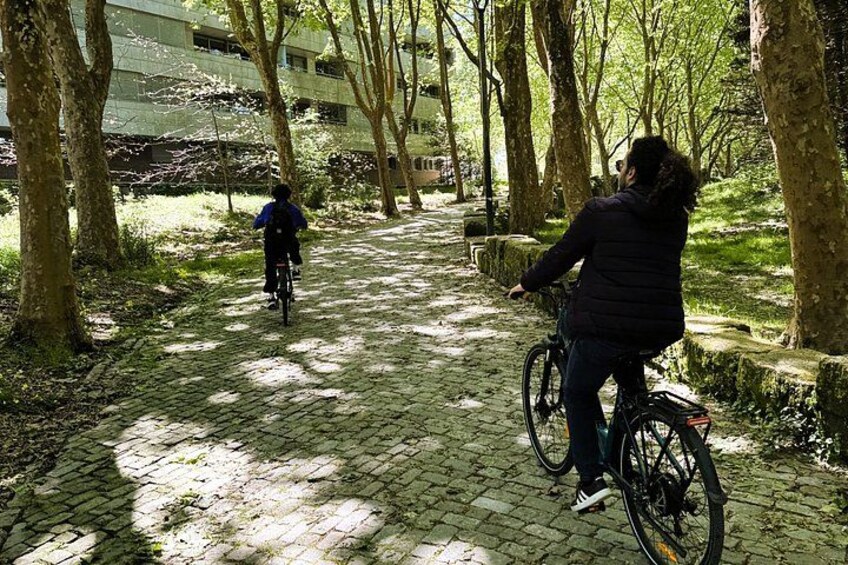 Two people riding bicycles on a cobblestone path surrounded by trees. 5