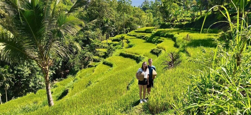 A person standing on a lush green terraced field with palm trees and dense vegetation in the background. 2