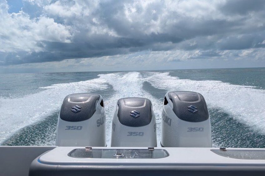 Dry Tortugas National Park Boat Charter from Key West 5