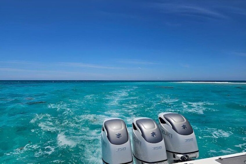 Dry Tortugas National Park Boat Charter from Key West 4