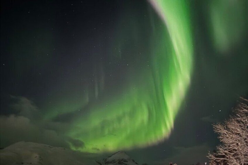 Auroras boreales sobre un paisaje nevado. 3
