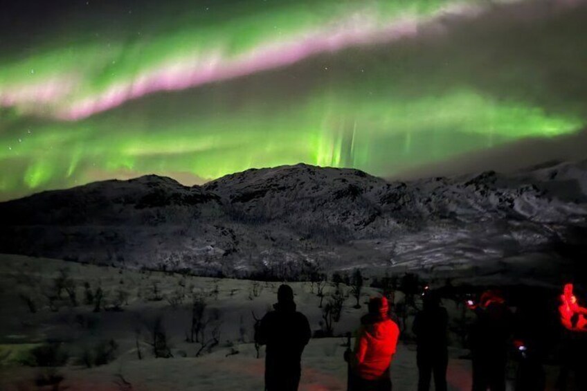 Un paisaje montañoso nevado con la aurora boreal. 1