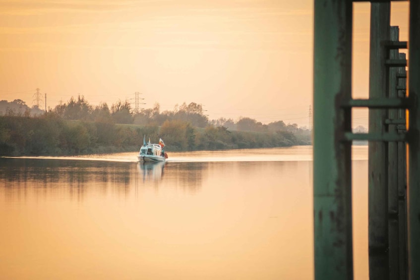 A calm river with a boat moving away from the viewer, surrounded by trees and power lines in the background. 3
