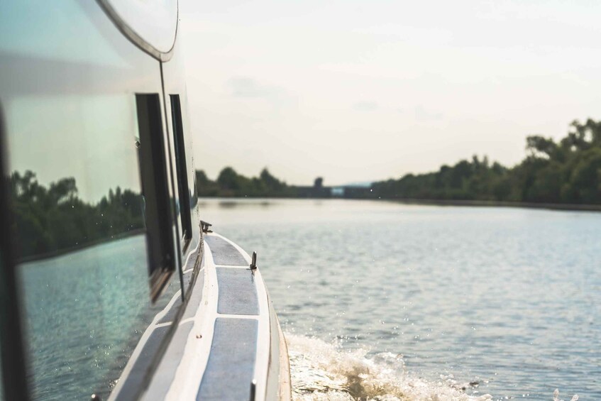 A boat moving through a calm river with trees on the banks. 1