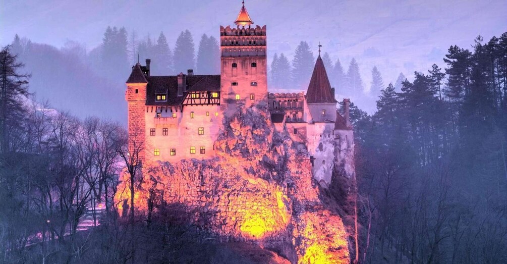 A castle with a tower, surrounded by trees and a misty landscape. 1