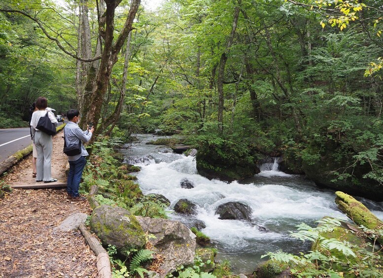 A river flowing through a forest with people standing on a path observing the water. 2