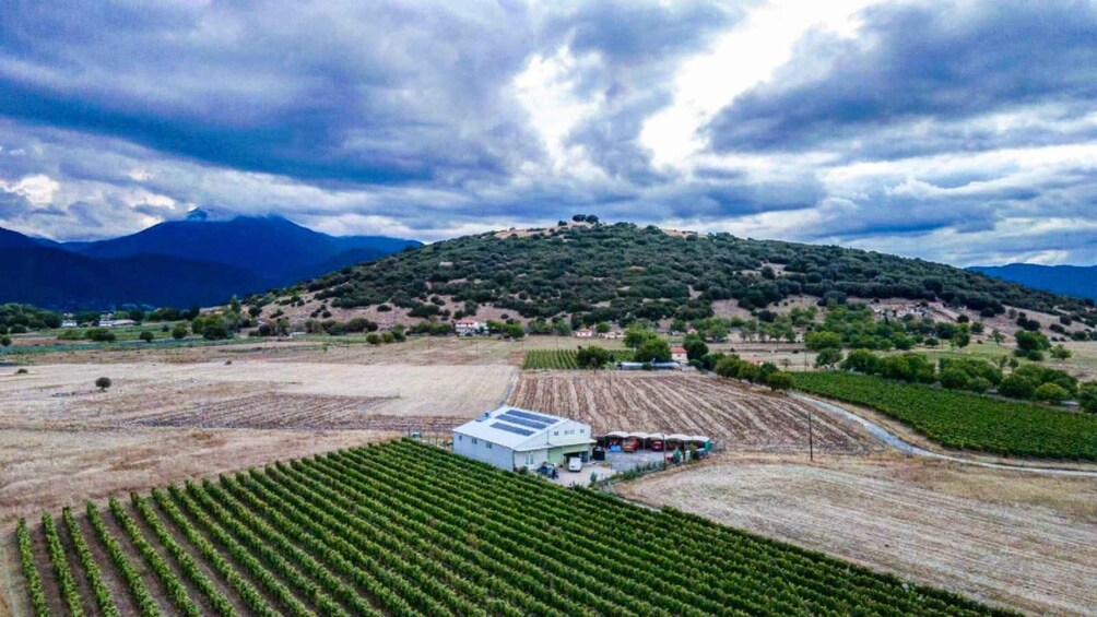 Picture 1 for Activity Mantinia: Caves, Wine Tasting & LunchTour 5