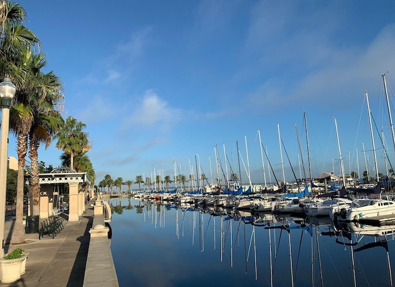 A marina with numerous sailboats docked, palm trees lining the waterfront, and a covered pavilion on the left. 2