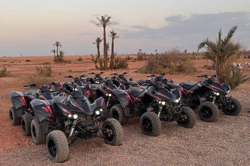 A row of ATVs parked on a gravel surface with a desert landscape in the background. 3