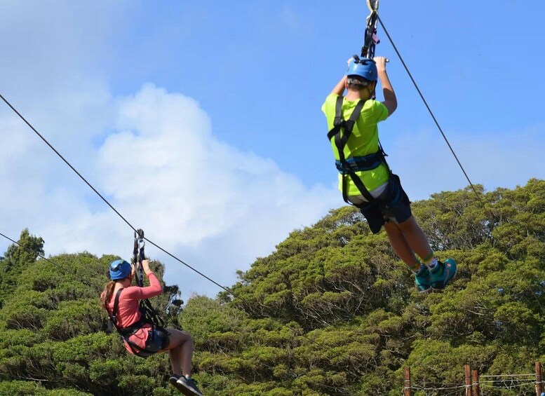 Two people ziplining through a forested area. 1