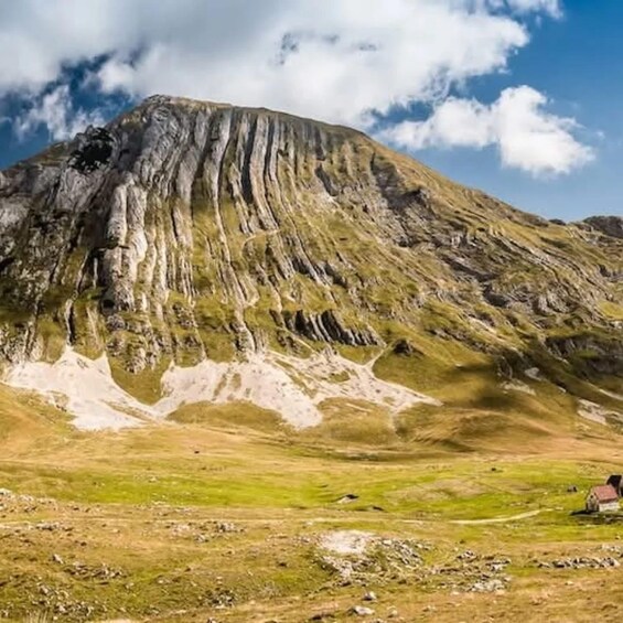 Picture 3 for Activity From Kotor: Montenegro Canyons and National Parks Tour 4