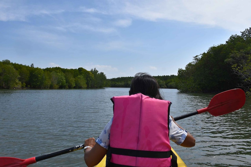 A person kayaking on a river with dense foliage on the banks. 1