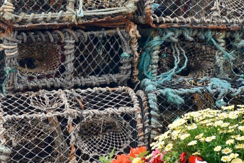 Eine Ansammlung von Fischfallen mit Seilen und Netzen, umgeben von Blumen. 4