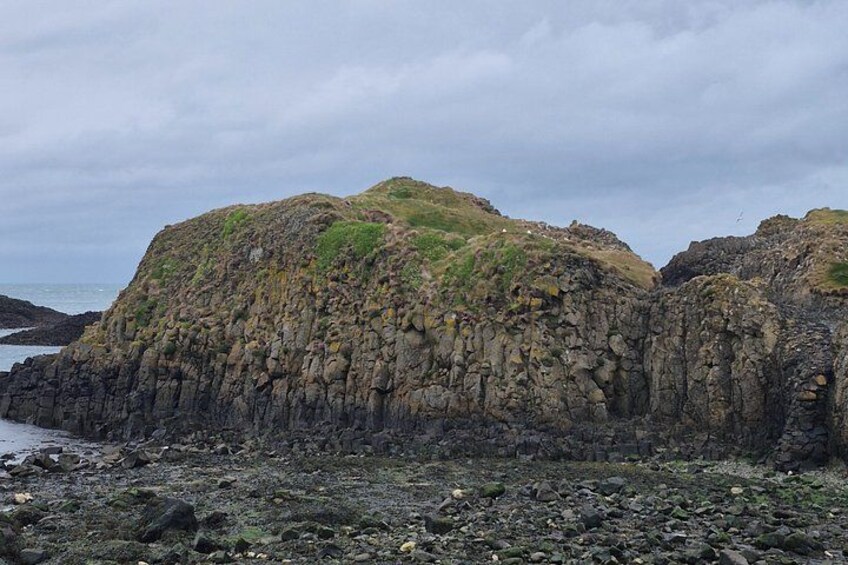 Private Giants Causeway Tour Luxury V Class from Ireland 2