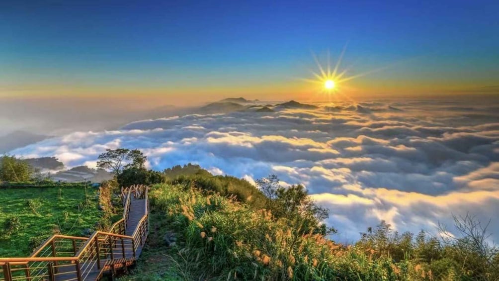 Picture 2 for Activity Two-day tour of Alishan Cloud Forest and Tainan Old Town 5
