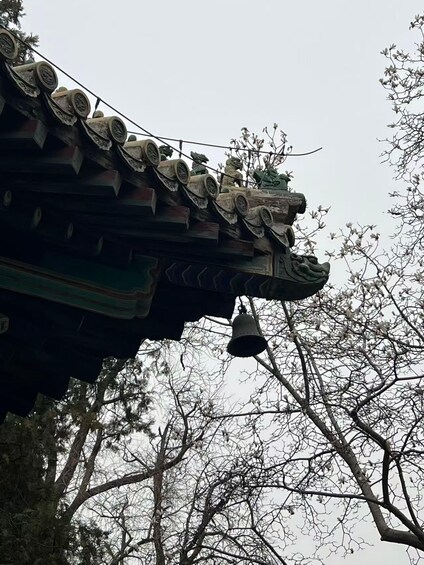 A traditional roof with decorative tiles and a bell hanging from a tree branch. 1
